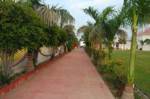sirsa6