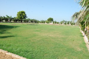 sirsa8