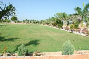 sirsa9